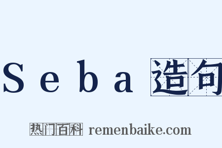 Seba造句是什么意思的图片